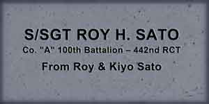 Custom Engraved Brick